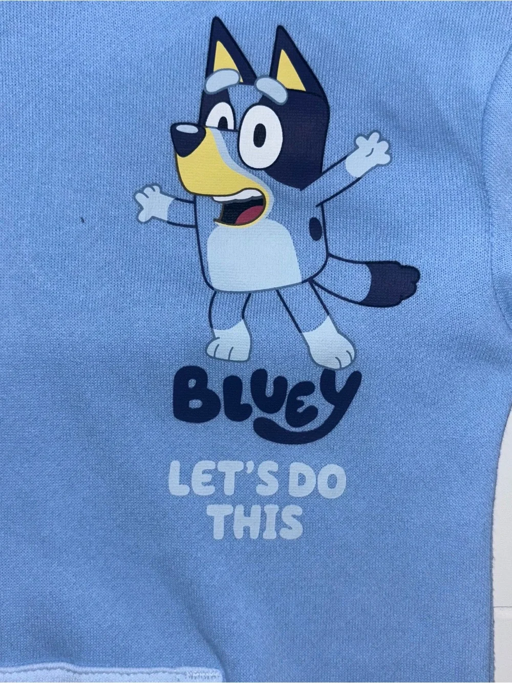 Bluey Matching Sweatshirt Hoodie & Sweat Pants Joggers Set 5T